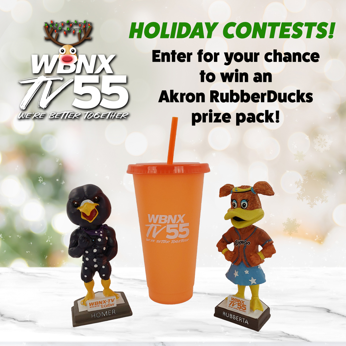 Akron RubberDucks Prize Pack Holiday 2023