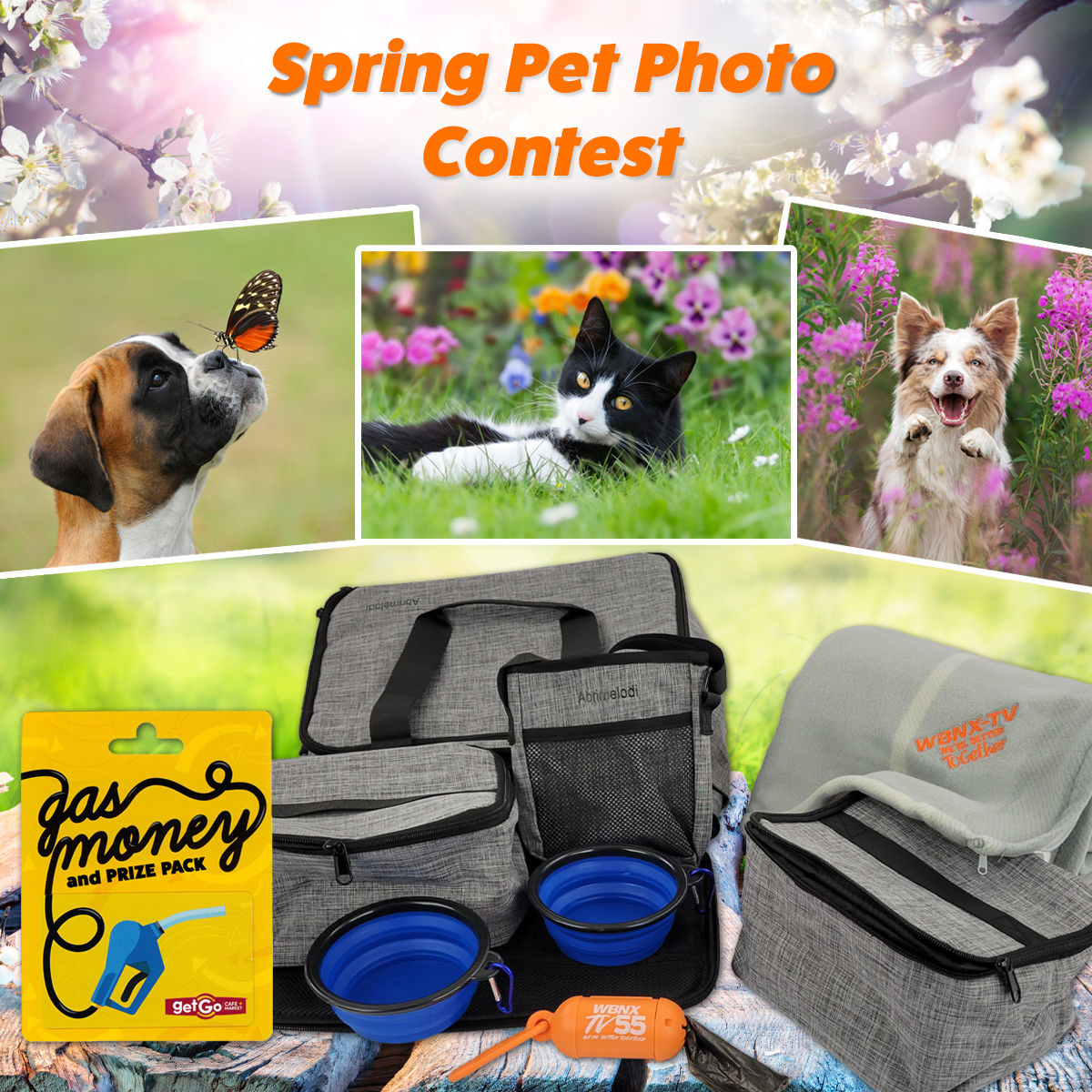 Spring Pet Photo Contest 2023