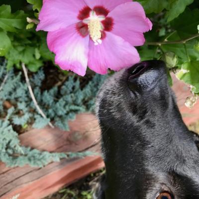 Always stop to sniff the flowers!