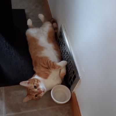 If it's spring, I'll move from my heat vent.