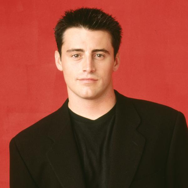 Matt LeBlanc as Joey