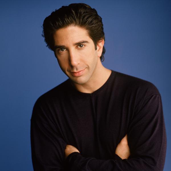 David Schwimmer as Ross