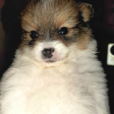 New to our world