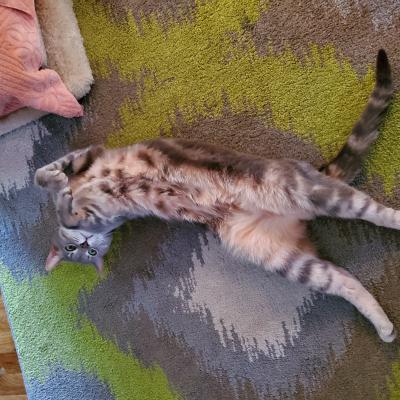 Spring Chillin' Time