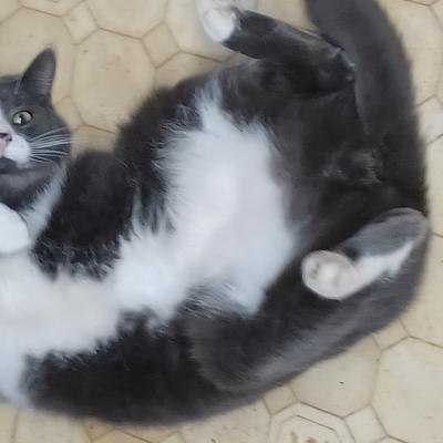 TJ