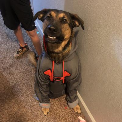I love my hoodie!