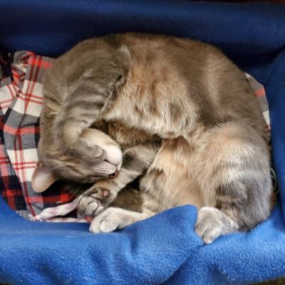 Hibernating till spring!
