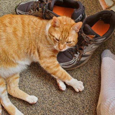 Get on your shoes. It's spring, and we're going outside!
