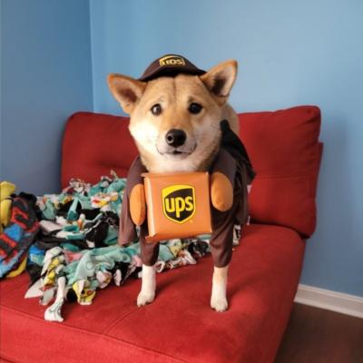 Meetzy McPeetzy reporting to work!