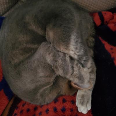 Can I come out yet from winter hibernation?