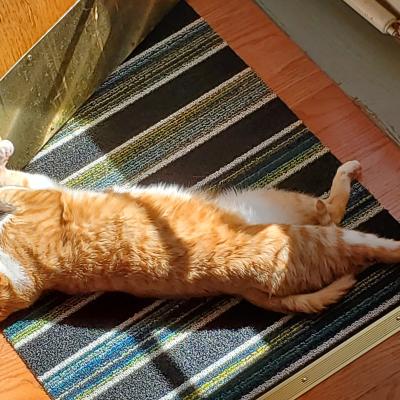 Spring Sun