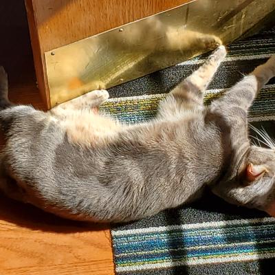 Let that Spring SUN 🌞 Shine!