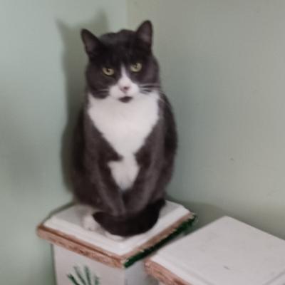 He's a model.