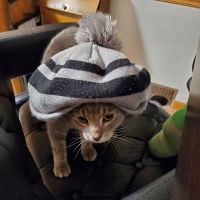 Shed the winter hat; it's springtime!