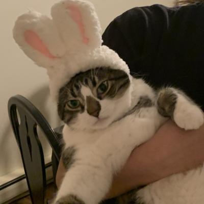 Ready to hop into spring!
