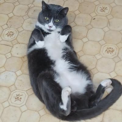 He's a natural!