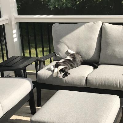 My Catio