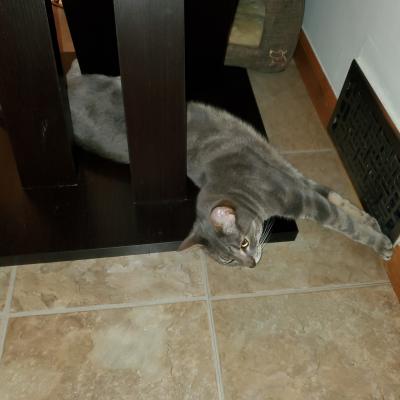 No heat? Must be springtime!