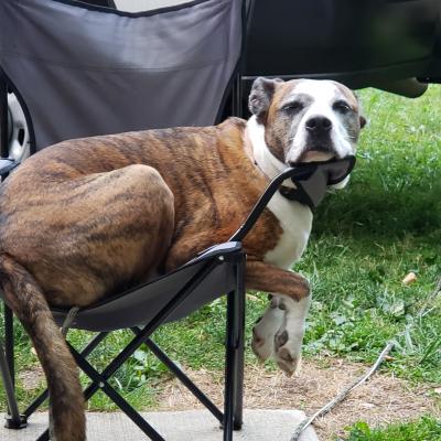 I love camping!