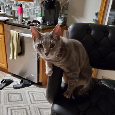 Just chillin' while I'm waiting on spring.