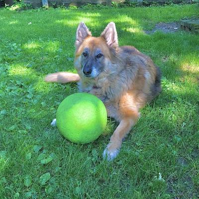 Having a ball!