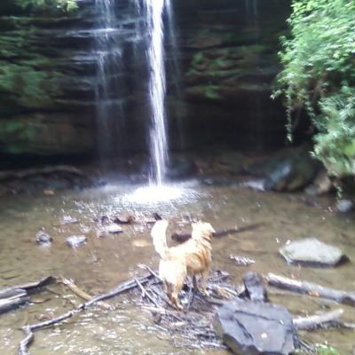 Beautiful Spring Day at Dundee Falls 