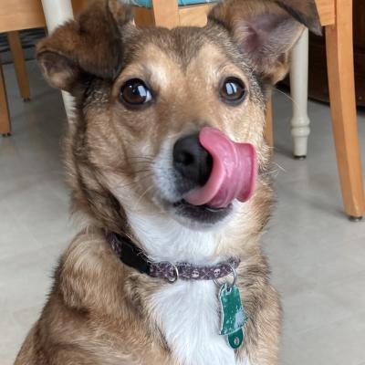Thirsty after a walk!