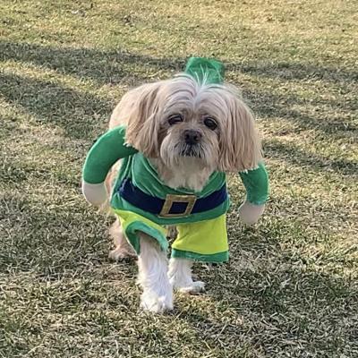 Shamrock Tails