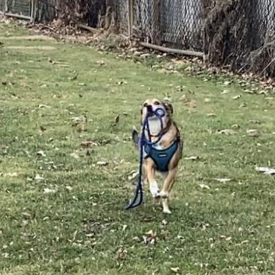 Day at the Park With My Dad