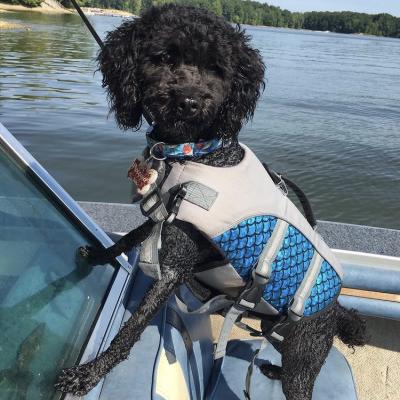 Boat Buddy