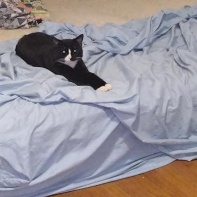 Chillin' in bed!
