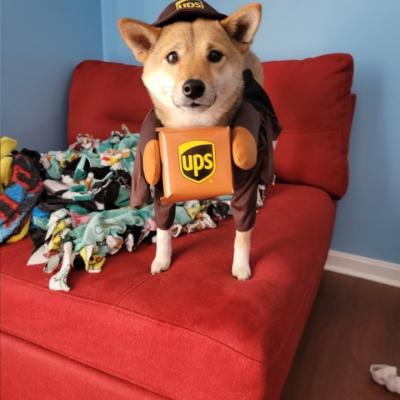  ChuckleStein reporting to work!