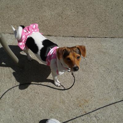 Dressed for Spring