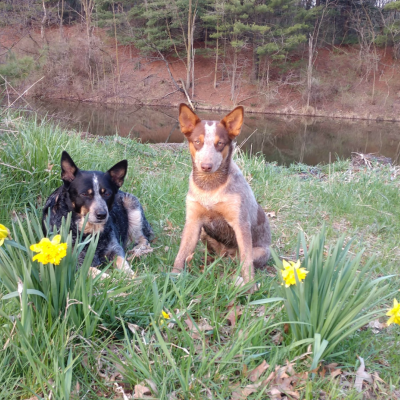 Enjoying a walk by the lake.