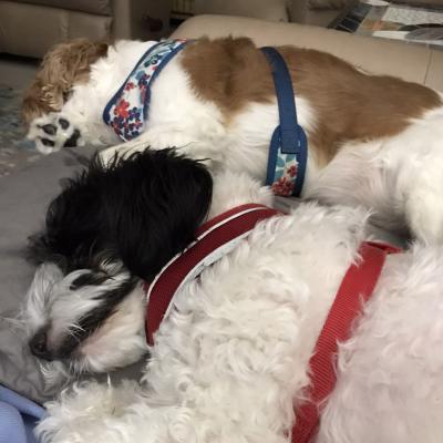 Heidi and JayJay