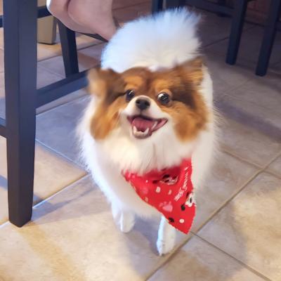  I gotz my hares cutt!