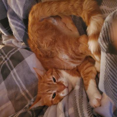 Just Chillin'