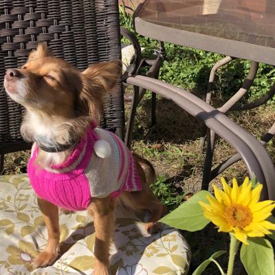 Karlie Sunbathing