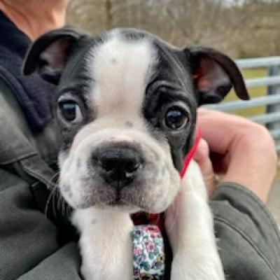 My very first walk.