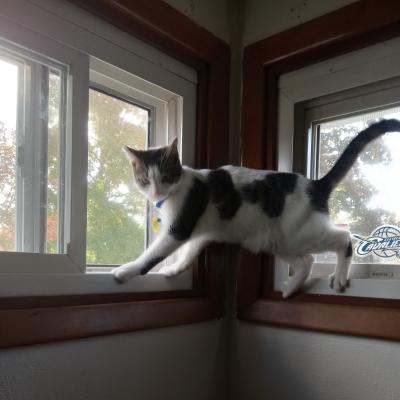 Open the window! Ready for spring!