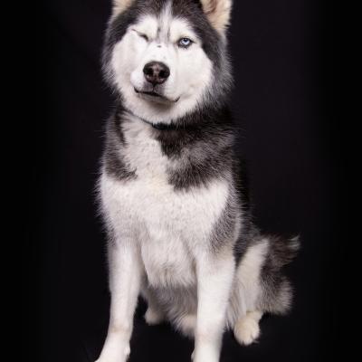 Our Rescue