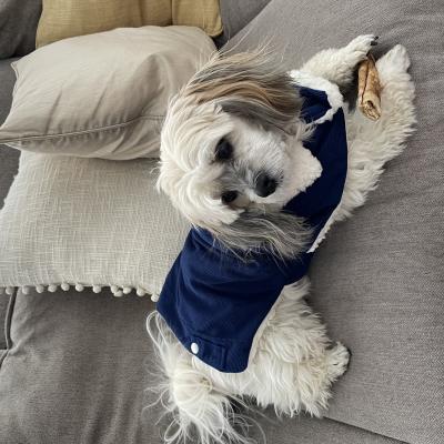 Spring Coat