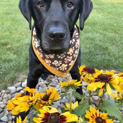 Winston says, "It’s almost fall y’all!"