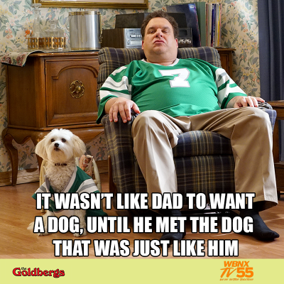 Goldbergs